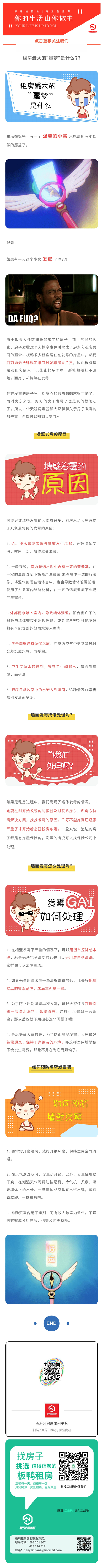 SOS！！板鸭生活的超级噩梦！！房子发霉了怎么办啊啊啊?!!插图