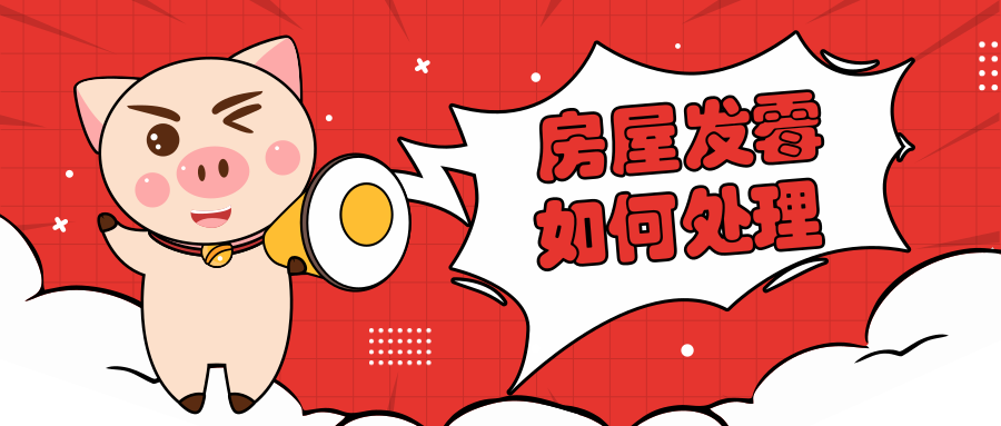 SOS！！板鸭生活的超级噩梦！！房子发霉了怎么办啊啊啊?!!缩略图