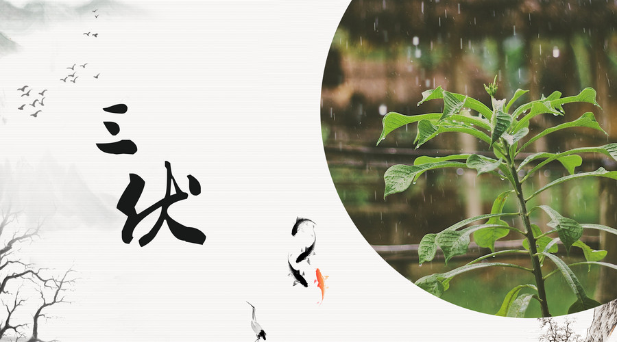 三伏天去火大作战！一起吃点”苦”吧！缩略图