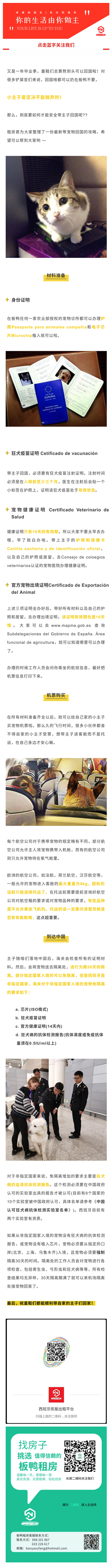 做个合格的铲屎官，带小主子回国全攻略插图