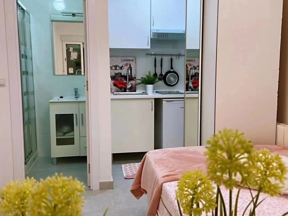 【富人区Somosaguas小公寓】缩略图