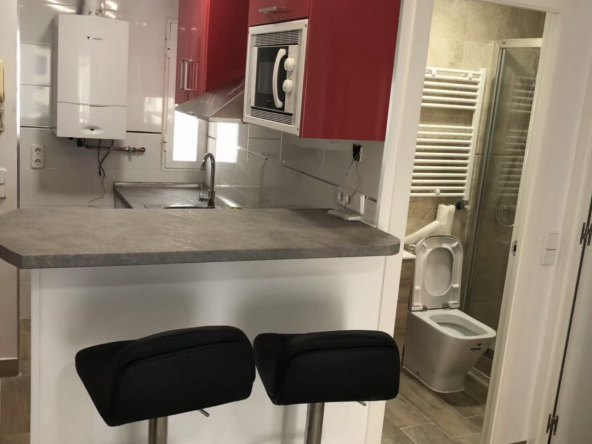 7号线Penagrande2室公寓缩略图